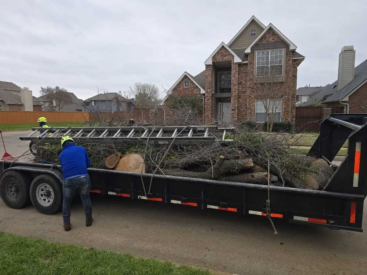 Expert Tree Fertilization with proper safety equipment in Pottsville